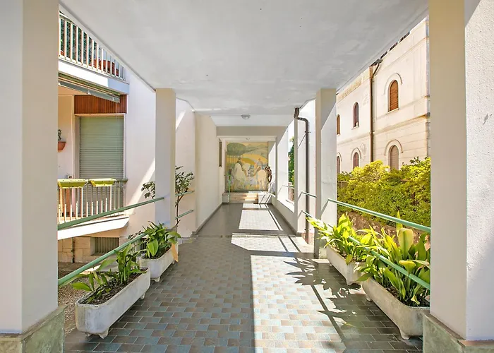 Strixia 50m From - Happy 스트레사